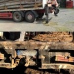 transport-de-lemne-310x165