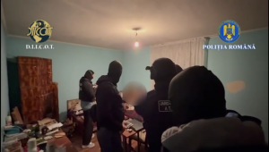 vindea substante interzise (1)