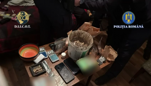 vindea substante interzise (4)