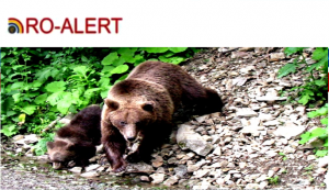 Bărbat-rănit-de-urs