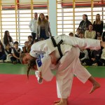 CJ ARGES - BUDEASA (3)