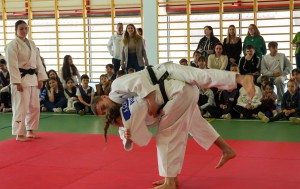 CJ ARGES - BUDEASA (3)