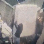 Controale intensificate (2)