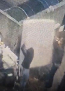 Controale intensificate (2)