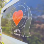 Educație rutieră (14)