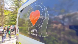 Educație rutieră (14)