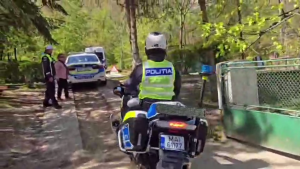 Educație rutieră (2)