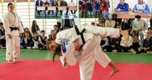 Excelența sportului argeșean