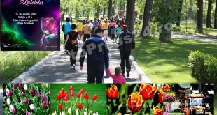 Lunca-Argesului-foto-Mihai-Neacsu