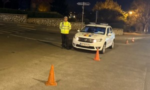 Poliția Locală Pitești