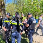 Simfonia Lalelelor (2)