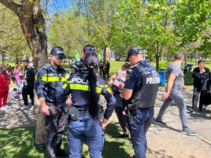 Simfonia Lalelelor (2)