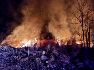 arderile necontrolate de vegetație