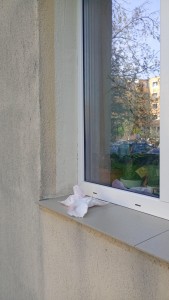 arunca gunoiul de la etaj (1)