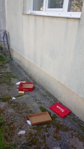 arunca gunoiul de la etaj (2)