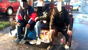 cersatori-amendati-gavana-1