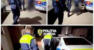 conflict spontan la bradu (1)