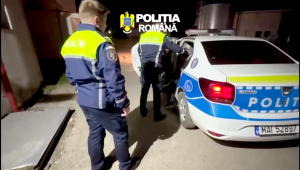 conflict spontan la bradu (2)