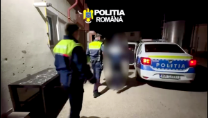 conflict spontan la bradu (4)