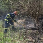 incendii vegetatie uscata arges (2)