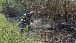 incendii vegetatie uscata arges (2)