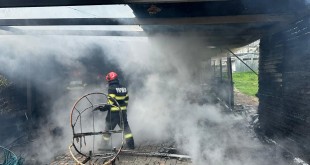 incendiu casa pitesti (2)