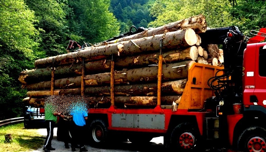 transport-lemne-ilegal