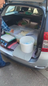 1 comerțul ilegal cu produse perisabile (1)