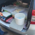 1 comerțul ilegal cu produse perisabile (5)