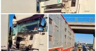 Accident rutier în comuna Oarja, autostrada A1 (1)