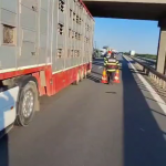 Accident rutier în comuna Oarja, autostrada A1 (3)