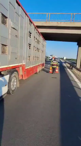 Accident rutier în comuna Oarja, autostrada A1 (3)