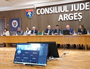 C. J. Argeș (1)