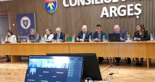 C. J. Argeș (1)