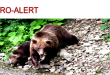 RO-ALERT.
