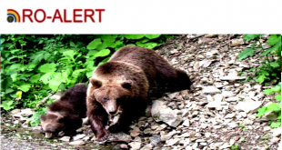 RO-ALERT.