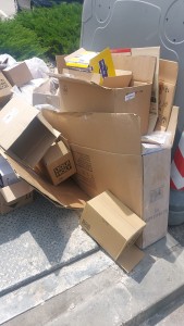 Serviciul Monitorizare (1)