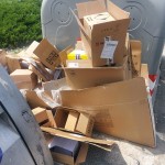Serviciul Monitorizare (3)