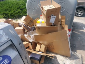 Serviciul Monitorizare (3)