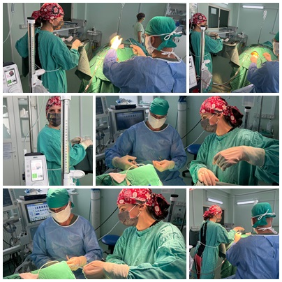 Sistem modern de lavaj și drenaj intracranian