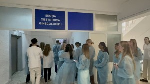 Studenți din SUA și Spania, schimb de experiență (1)