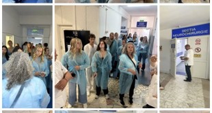 Studenți din SUA și Spania, schimb de experiență (1)
