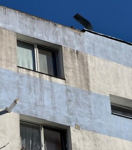 cod galben de vreme rea (1)