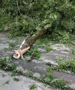 cod galben de vreme rea (2)