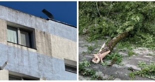 cod galben de vreme rea