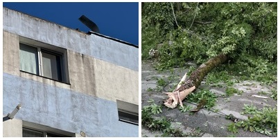 cod galben de vreme rea