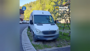 furt conductori electrici (4)