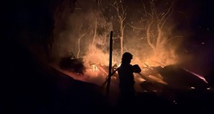 popesti incendiu casa