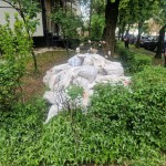 sanctiuni politia locala pitesti (2)