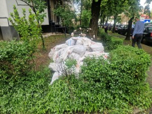 sanctiuni politia locala pitesti (2)